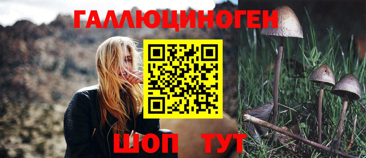 Псилоцибиновые грибы мицелий Артёмовский
